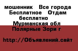 мошенник - Все города Бесплатное » Отдам бесплатно   . Мурманская обл.,Полярные Зори г.